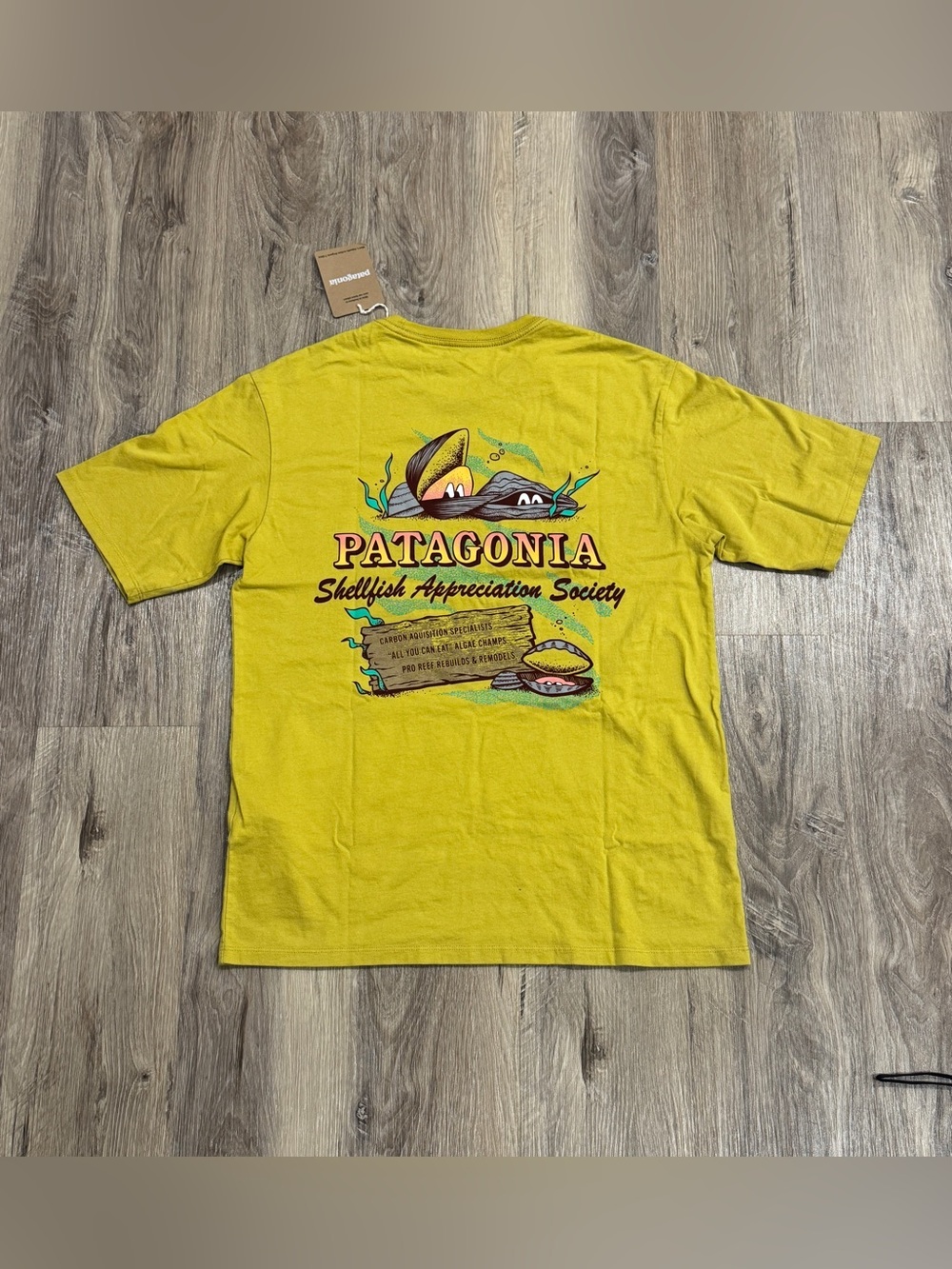 Patagonia Aquatic Action T shirt